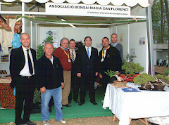 Fira del Ram 2011 (Tordera)