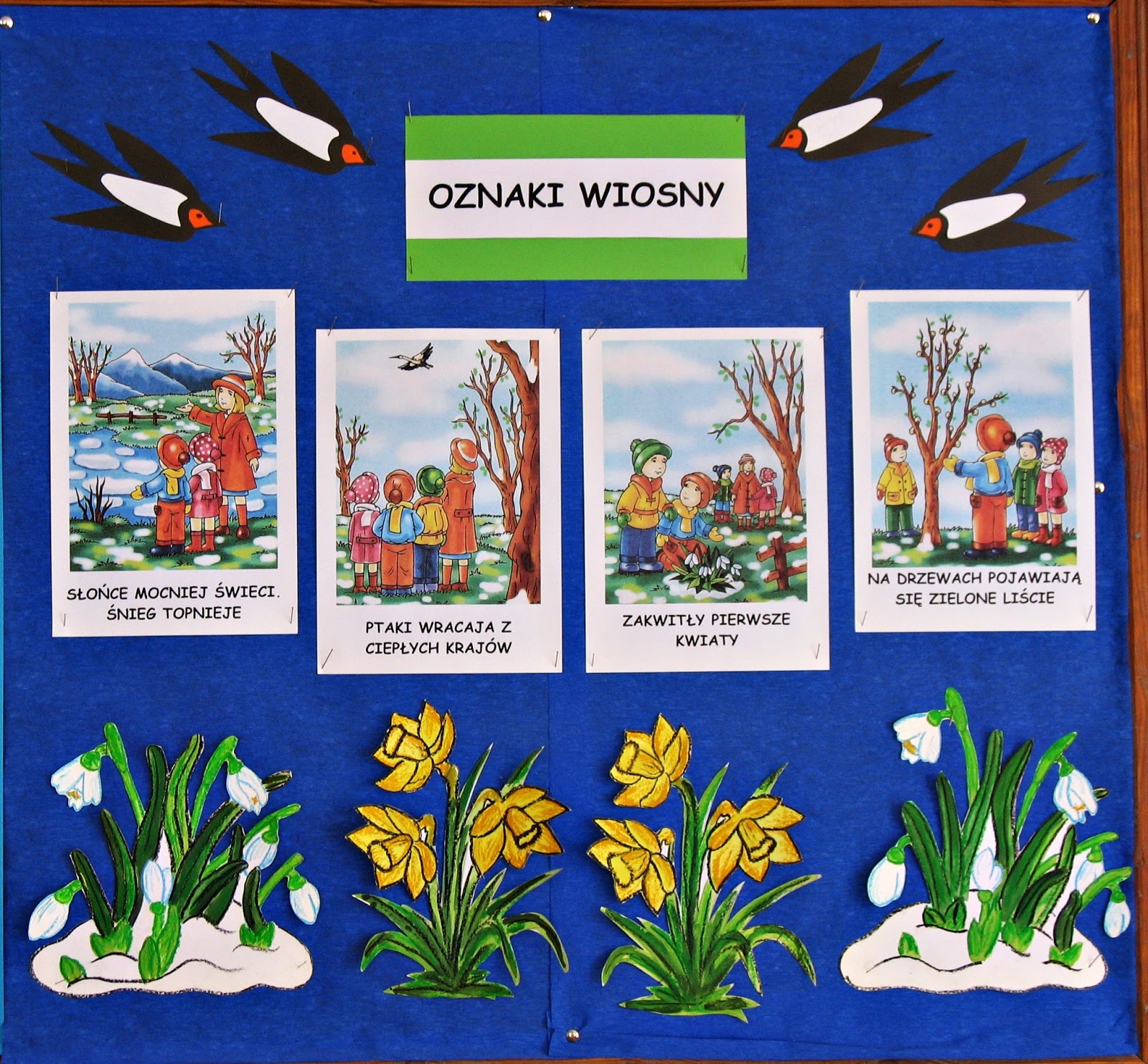 Dorota Kublik Dekoracje Szkolne Gazetki Szkolne Na Kazda Okazje