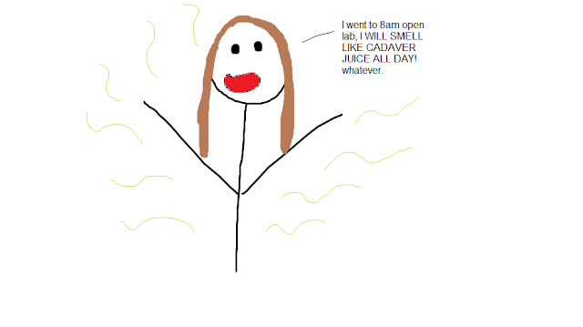 As Told By Simba: Journey Through Anatomy