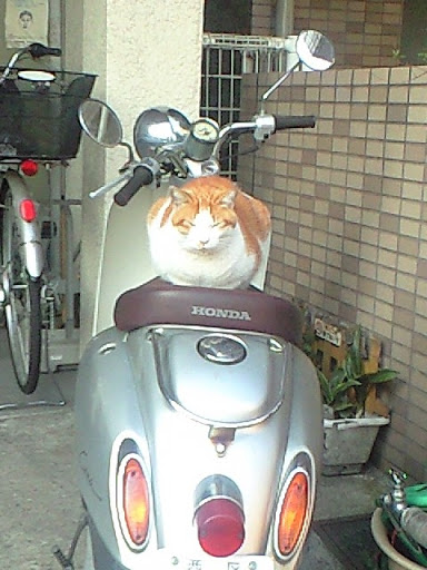20100513-CA3A0066.JPG