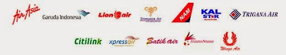 Our Domestic Airlines Partner
