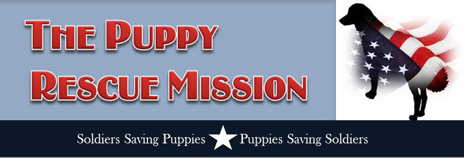 Puppy Rescue Mission