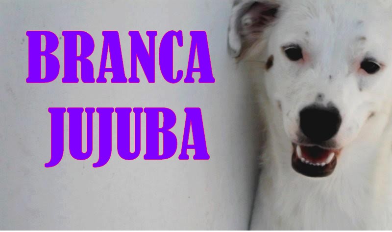 Branca Jujuba - Travessuras, aventuras, histórias e muito mais!