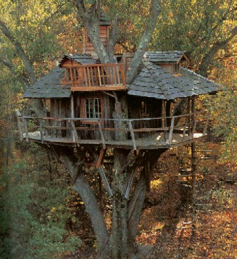 treehouse - Tree Houses for "Grown-ups"