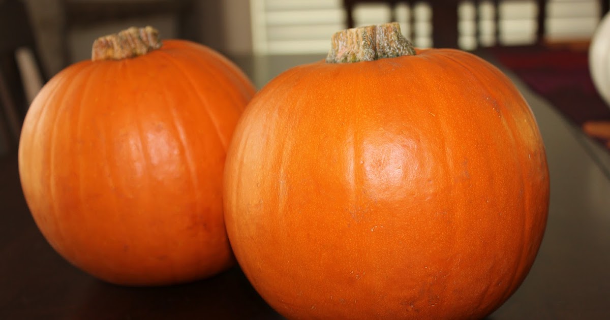 In the Centner of it All Fresh Pumpkin