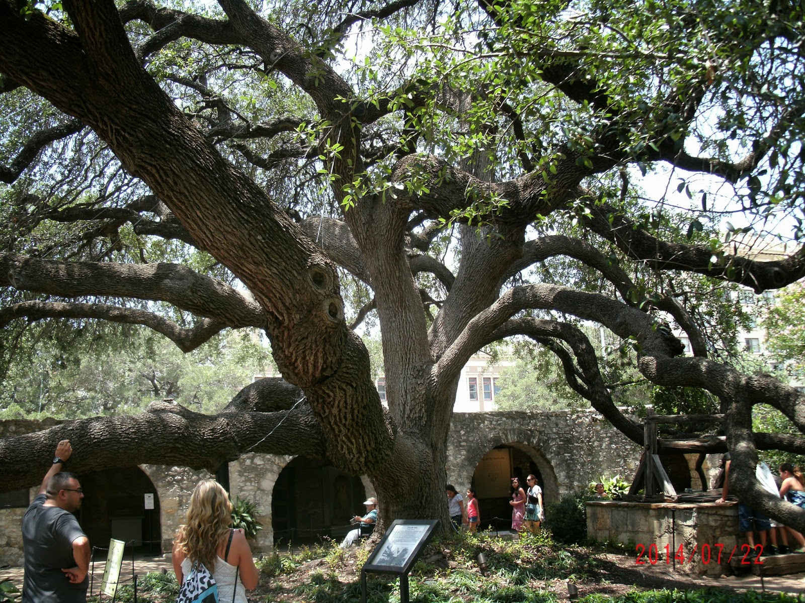 Sweethearts Of The West July 2014