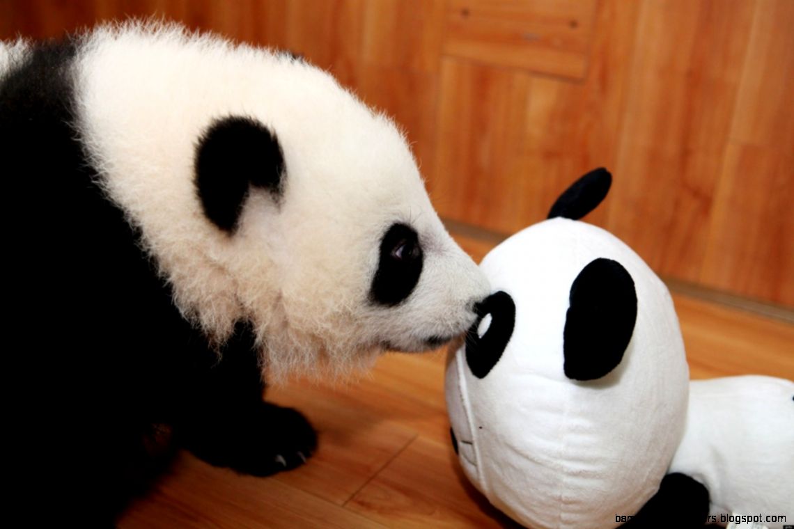 slide202951581891free slide202951581891free