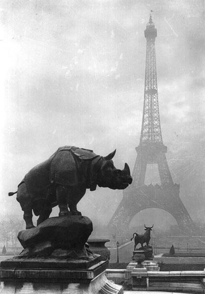 Amazing Historical Photo of Eiffel Tower in 1920 