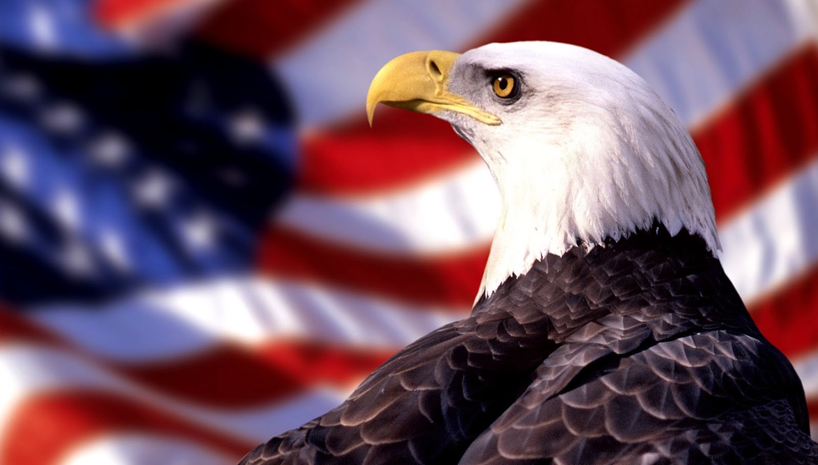 American Flag with Eagle 1920 X 1080 American Flag with Eagle 1920 X 1080