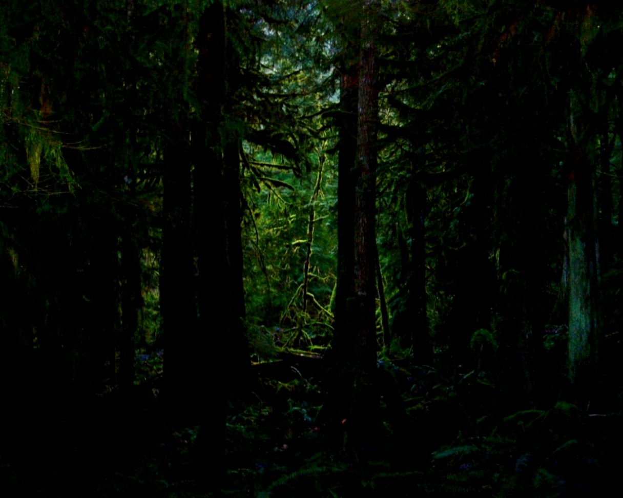 the natural life Tumblr the natural life Tumblr