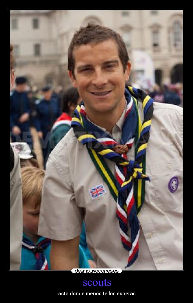 Soy scout
