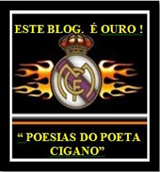 Visualizar