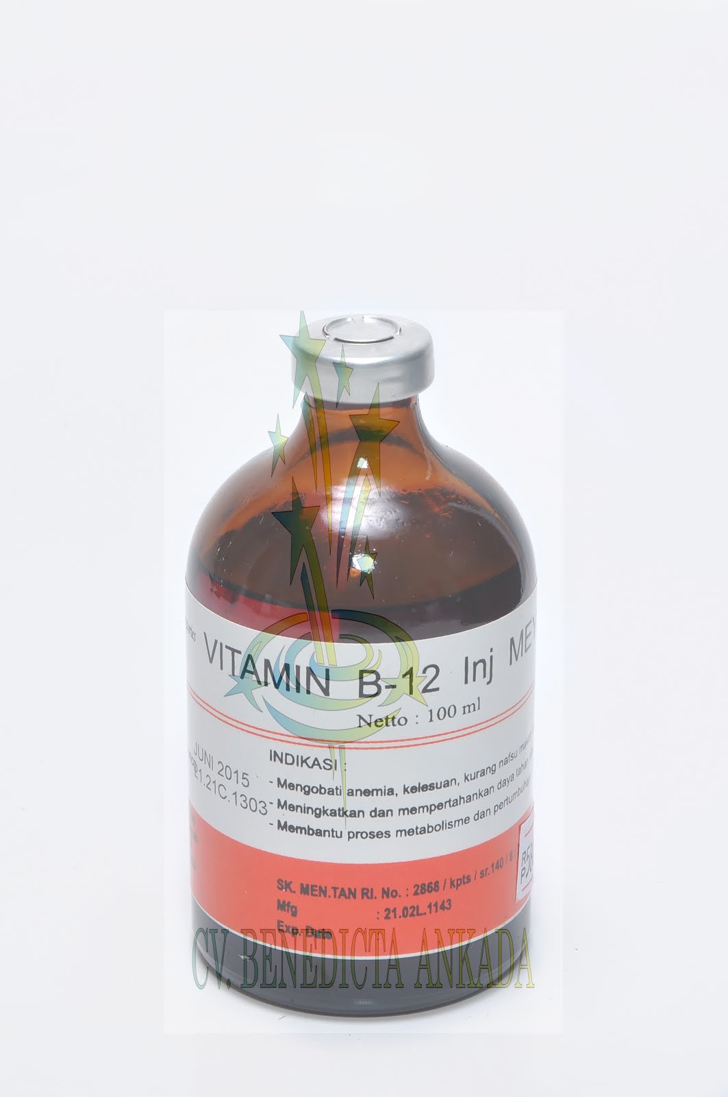 VITAMIN B12 INJ - MEYER