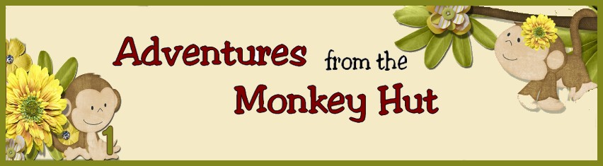 The Adventures from the Monkey Hut