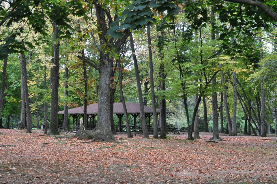 Van Saun Park. Paramus, New Jersey. Fall Colors. 2012.