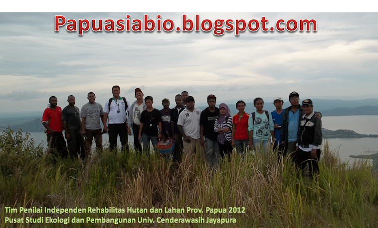 Papuasiabio Blog