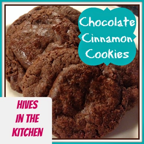 Hives in the Kitchen {Allergy Free} Chocolate Cinnamon Cookies