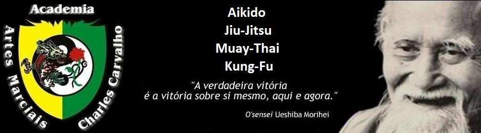 ARTES MARCIAIS CCM UBERLÂNDIA - Rua Profa Nilda de São José, 230 - (34) 3231-9236