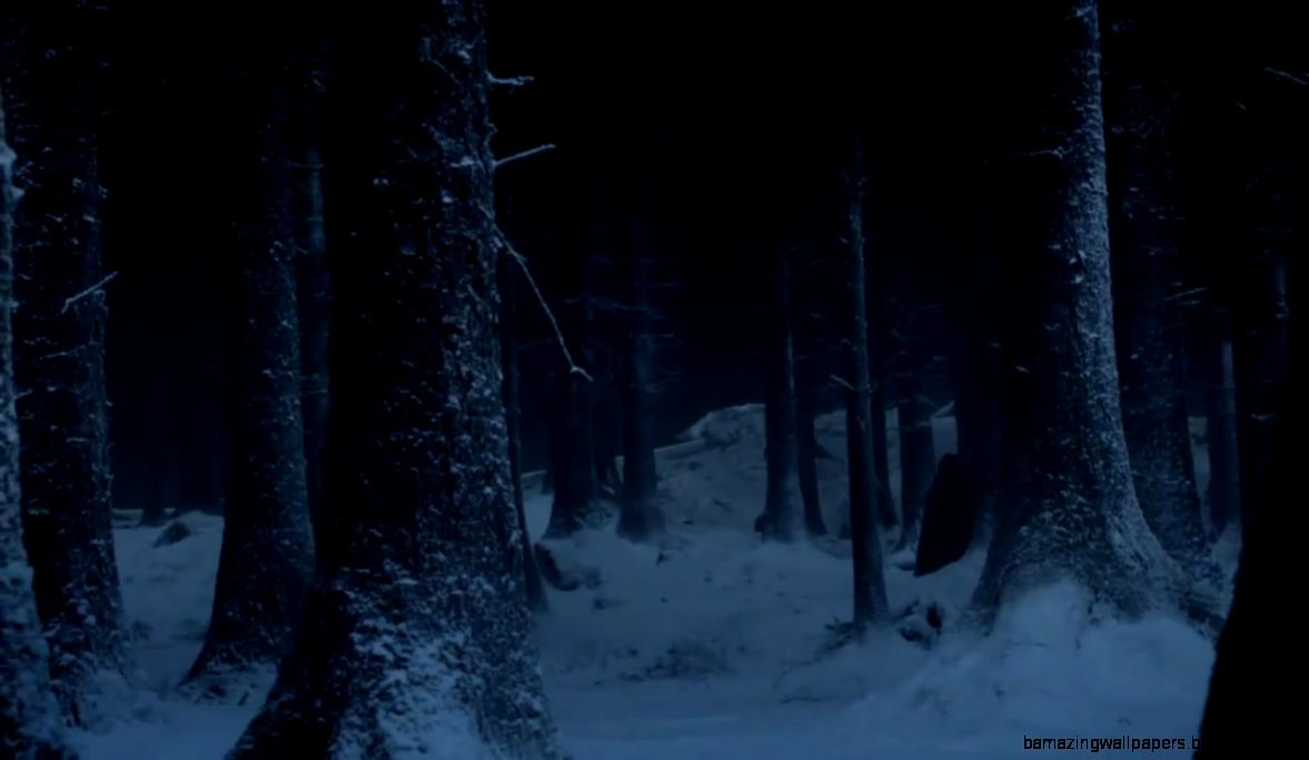 Dark snowy forest Dark snowy forest
