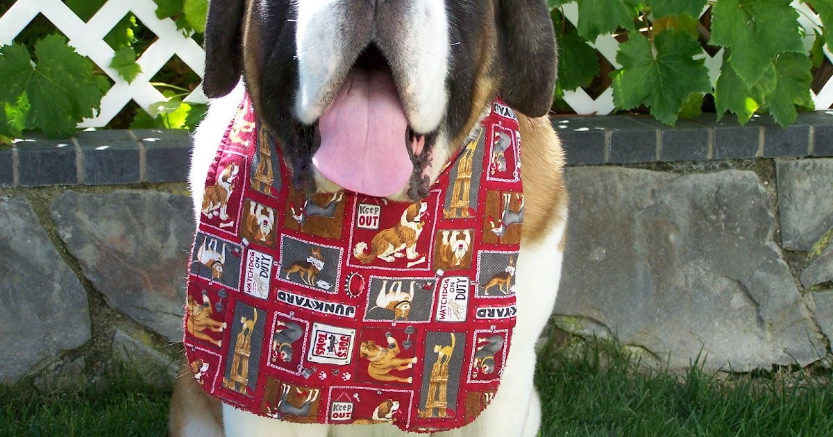 BRANDYKEGS Drool Bibs For Dogs