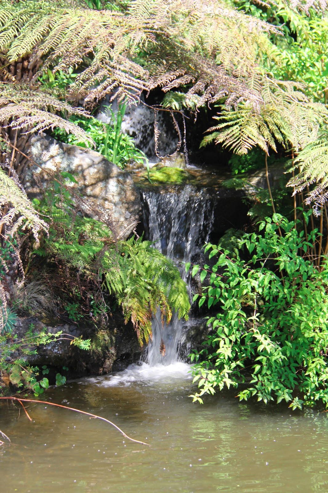 EATspeak Mount Tomah Botanical Gardens