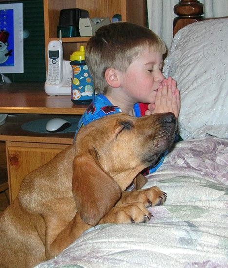 Lady Gaga >> Videografía - Página 15 Boy+and+dog+praying