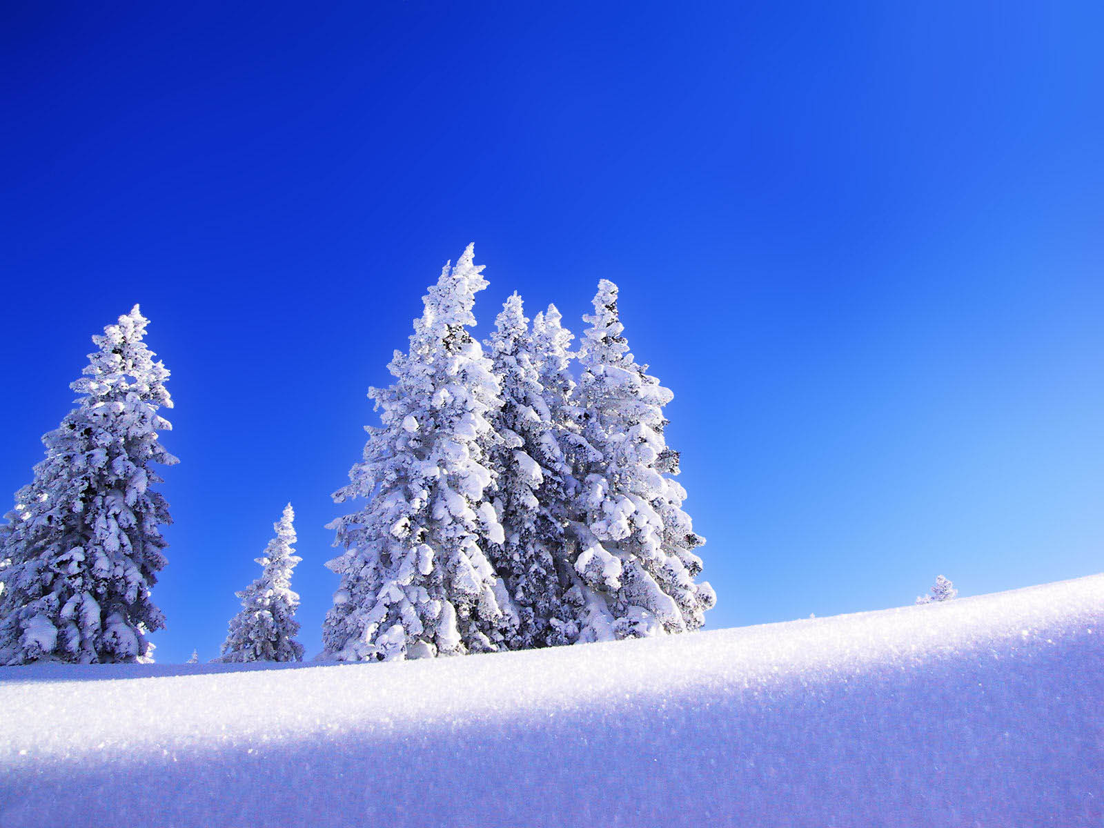 wallpaper snow wallpapers snowing wallpaper