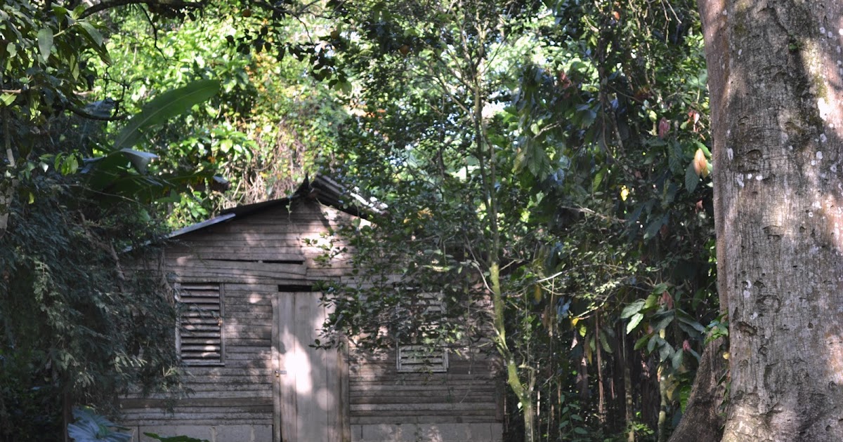 Viviendo en el monte. [La Casa pa entro] Con mi Nokia en la mano.