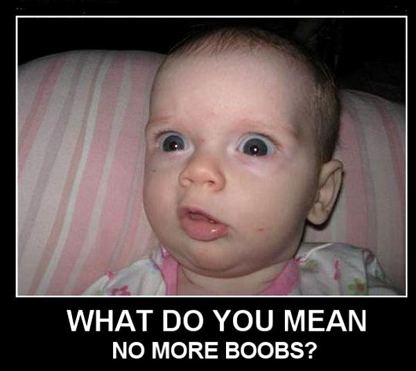 what-do-you-mean-no-more-boobs-baby.png