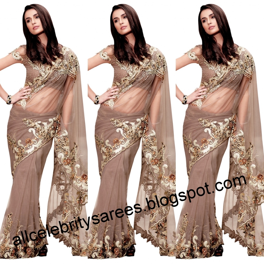 All Celebrities Sarees Designs Celebrity with brown colour net saree