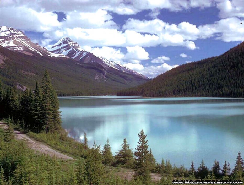 spring wallpapers page 1 nature backgrounds spring wallpapers page 1 nature backgrounds