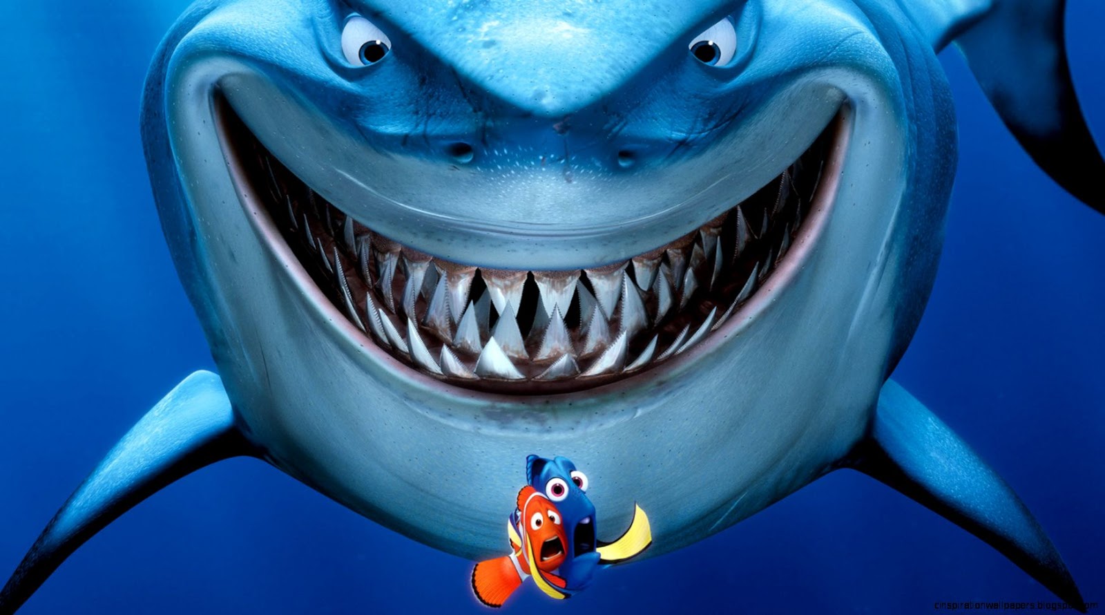 Finding Nemo Fish Finding Nemo Fish