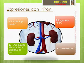 español online marisa salas español online marisa salas