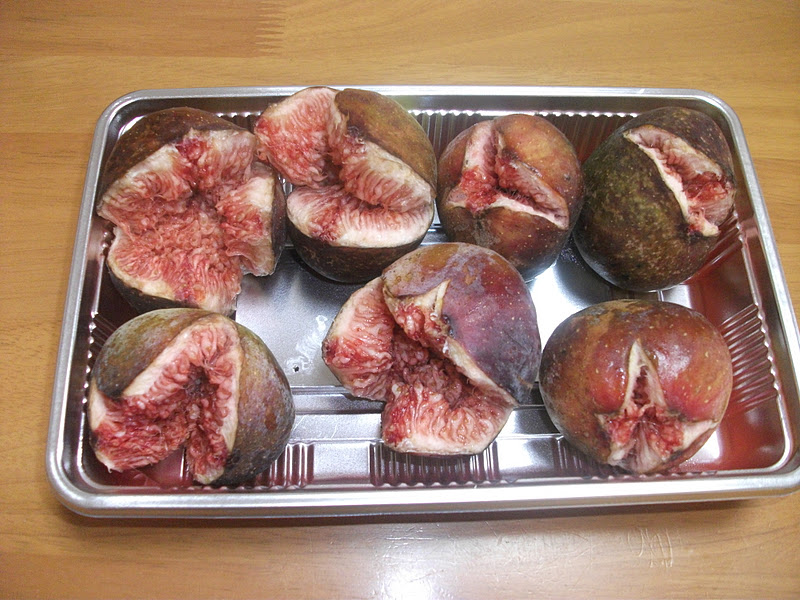 Life In Japan with Jason Japanese Figs ichijiku いちじく