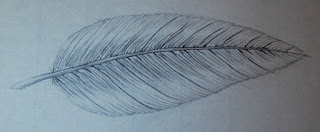 Drawing of a feather
