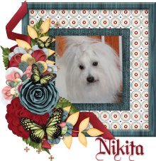 Nikita