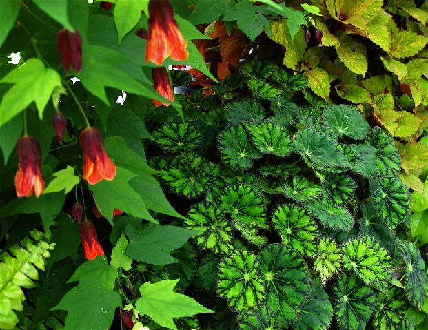 Urban Landscape Native Landscape April 2011