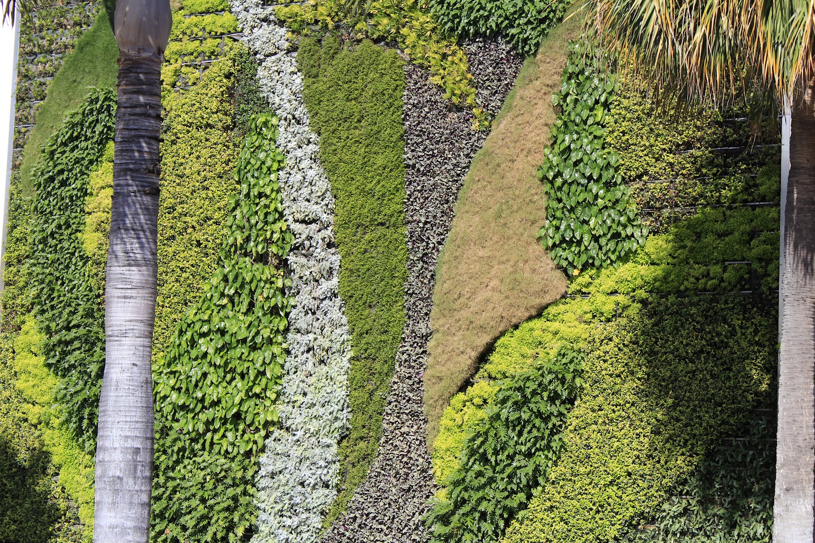 figs flowers food: PALM BEACH AND THE SHOPS OF WORTH AVENUE, PALM