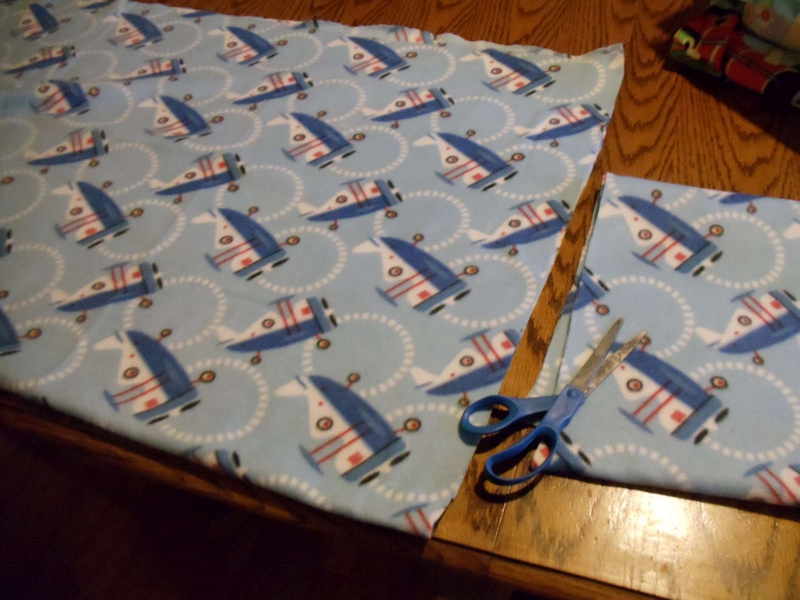 Comin' Home Fleece Sleeping Bags and Travel Size Pillows from Full