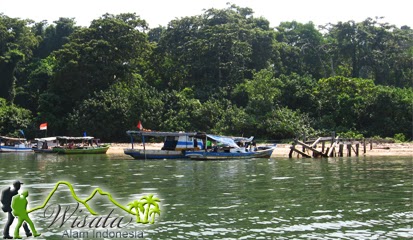 Pulau Bokor