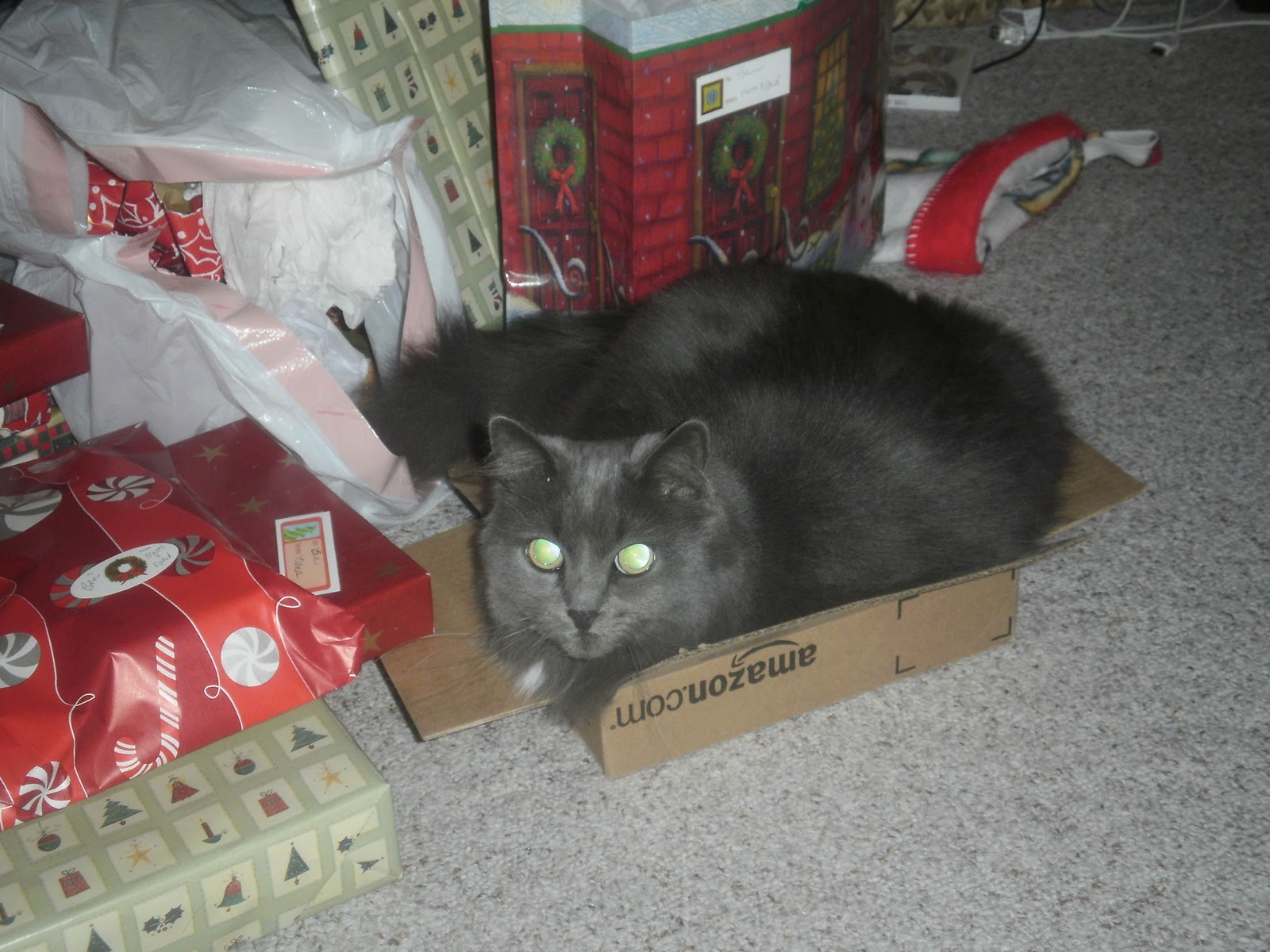 Catladyland Cats are Funny Jingle Bells, Cat Poop Smells