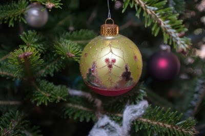 Durillo Viburnum Tinus Un Arbusto Decorativo Durante Todo El Ano