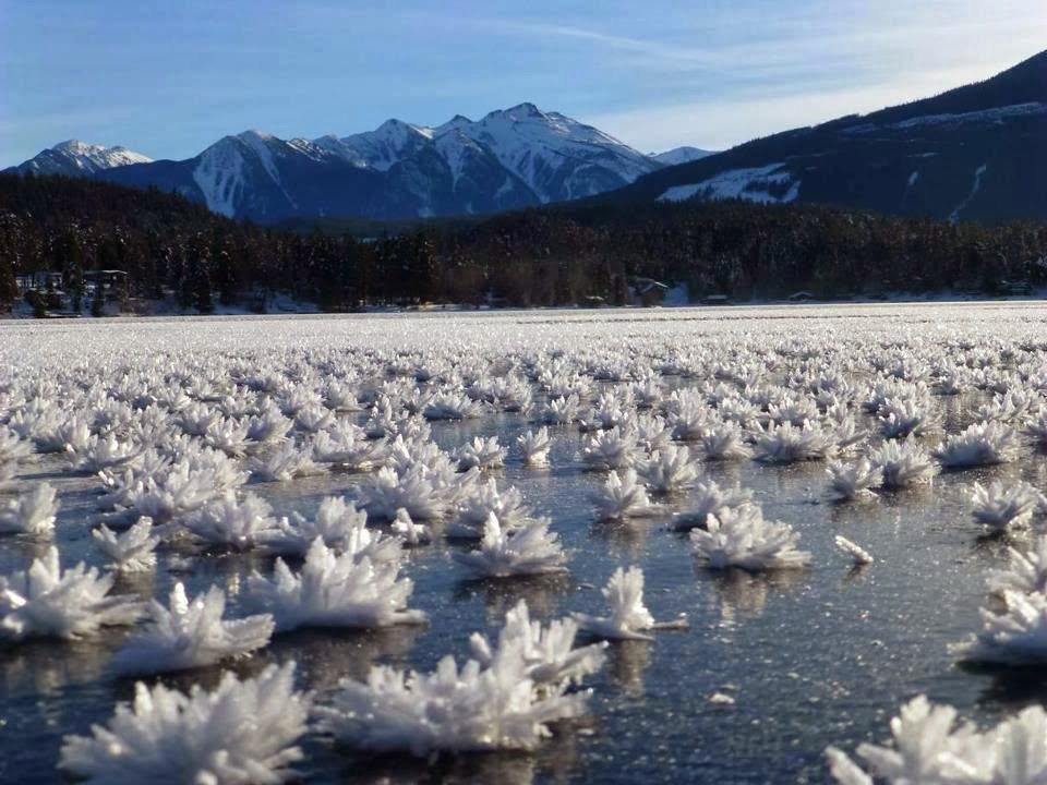 Facts 0r Fiction Gun Lake in British Columbia, Canada Frost Flowers