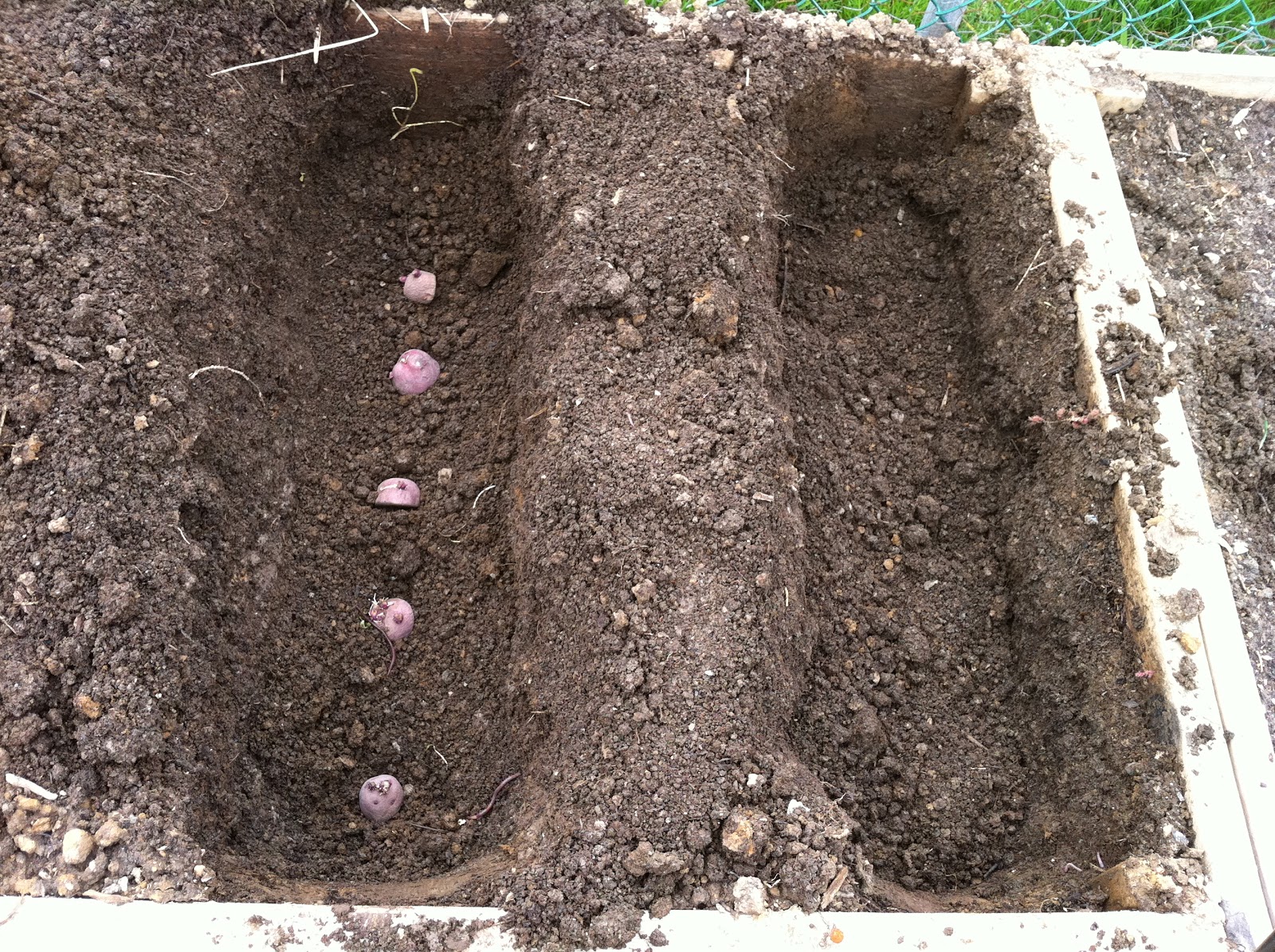 Garden Geeked April 2011