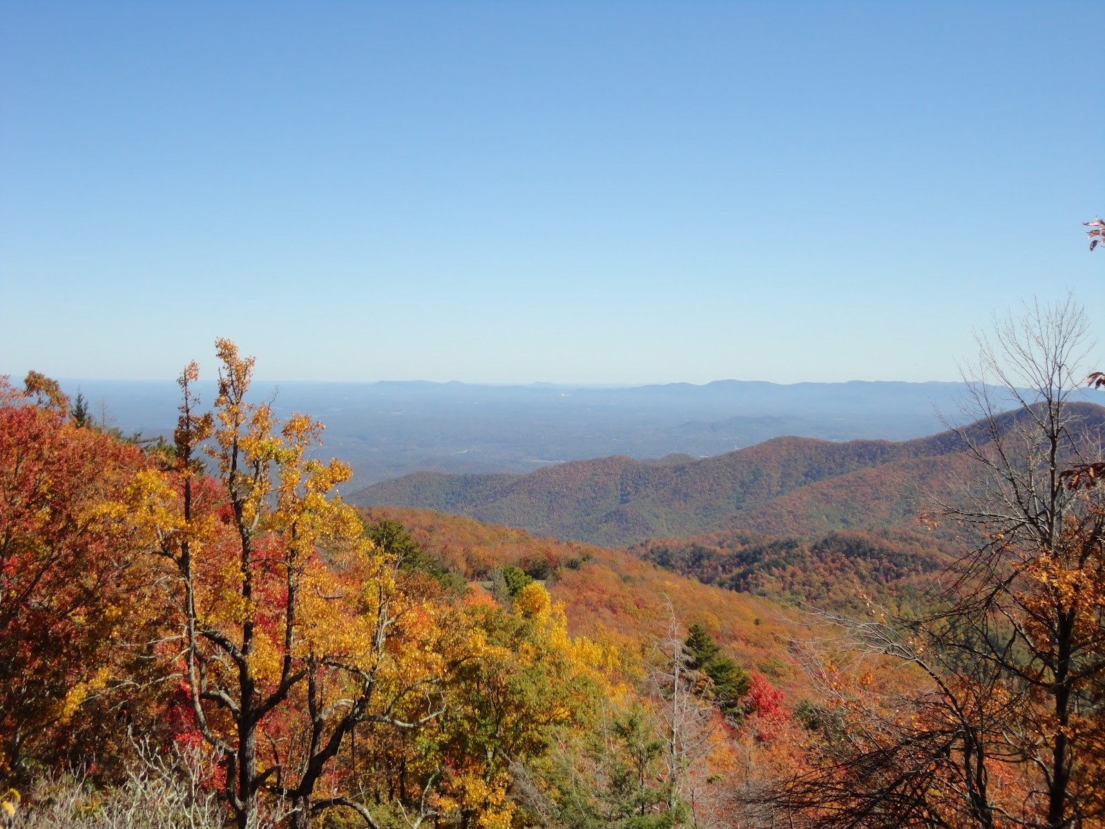 Brown Mountain Lodge and Creekside Cozy Cabin Rentals Mt. Mitchell