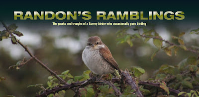 Randon's Ramblings 