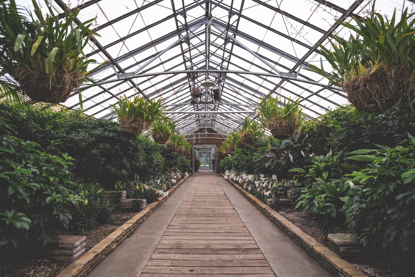 Climbing The Fence Cleveland's Greenhouse A blog of photos and
