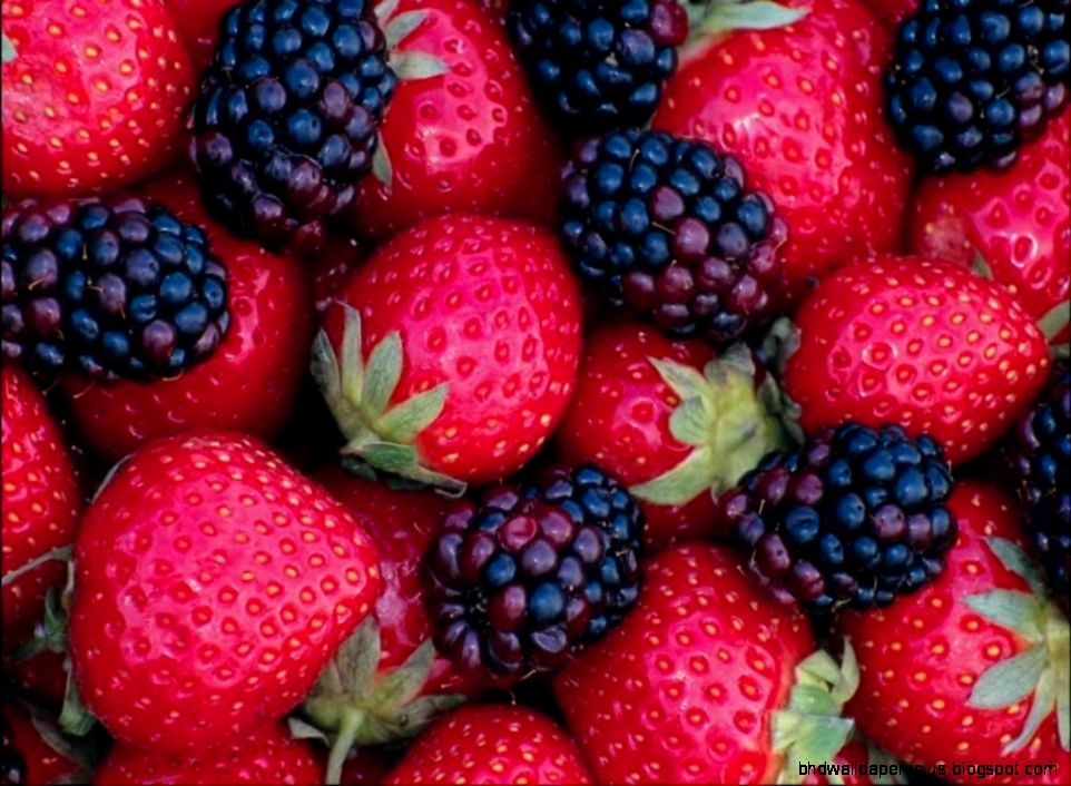 30 Most Breathtaking Fresh Fruit Wallpapers Stylonica 30 Most Breathtaking Fresh Fruit Wallpapers Stylonica