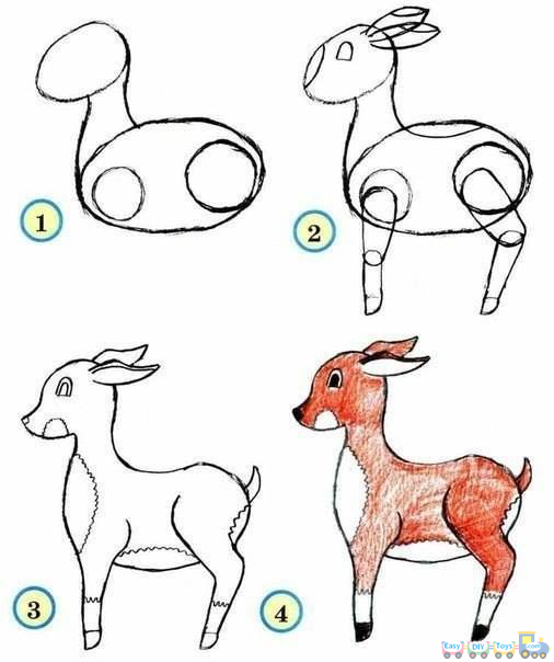 Drawing Simple Animal Deer pics Drawing Simple Animal Deer pics