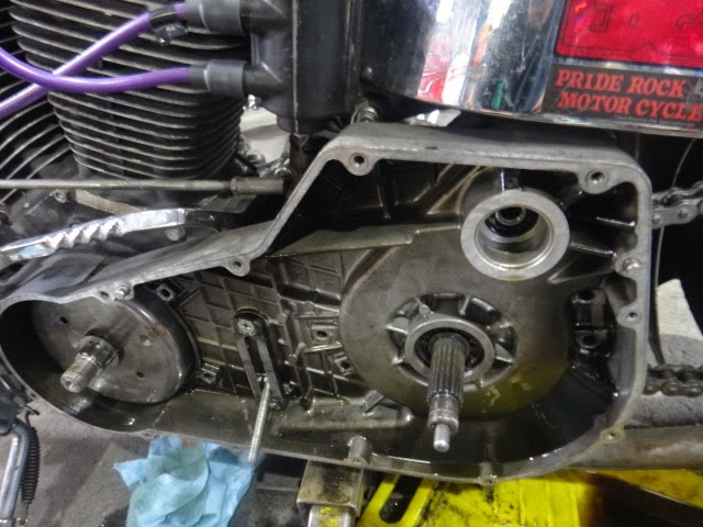 エボリューション、オープンプライマリーに変更。